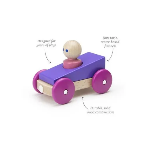 Tegu Magnetic Racer